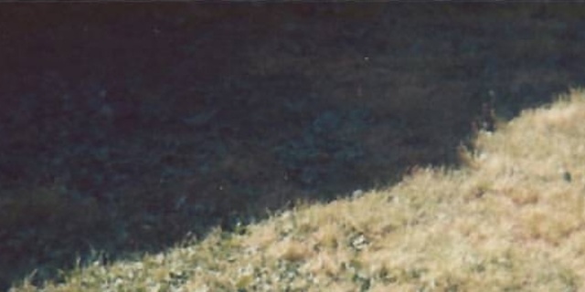 Poshmark banner for @passing